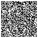QR code with Premium Investments contacts