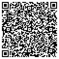 QR code with Blimpie contacts