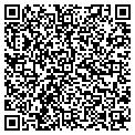 QR code with Signco contacts