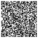 QR code with Pulse Marketing contacts