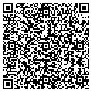 QR code with Blue Hf Holdings Inc contacts