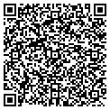 QR code with Solarus Consulting contacts