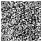 QR code with Bluerock Technologies Inc contacts