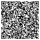 QR code with Curt Johnson contacts