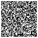 QR code with Pulse Marketing contacts