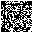 QR code with Bluwrap contacts