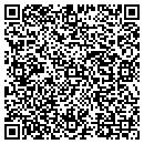 QR code with Precision Detailing contacts