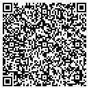 QR code with Stealth Travel contacts