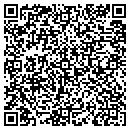 QR code with Professional Resume Plus contacts