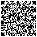 QR code with Blue Skys Travel contacts