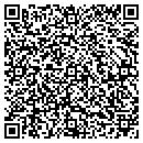 QR code with Carpet Installations contacts