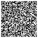 QR code with Brian Lewis Realty Inc contacts