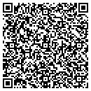 QR code with Psychic Connection contacts