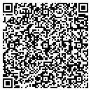 QR code with Pygmy Guides contacts