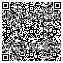 QR code with Cybersavvy.net LLC contacts