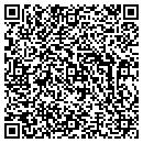 QR code with Carpet One Biernots contacts