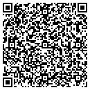 QR code with Blue Ridge Travel contacts