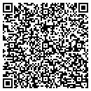 QR code with Professional Fan Pages contacts