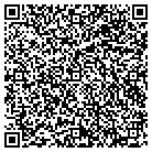 QR code with Pulaski Elementary School contacts