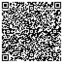 QR code with Push Marketing L L C contacts