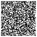 QR code with Teisha Group contacts