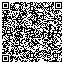 QR code with Premier Travel LLC contacts