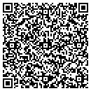 QR code with Capo & Sons Corp contacts