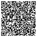 QR code with Willis contacts