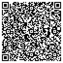 QR code with Public Works contacts