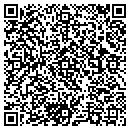 QR code with Precision Sales Inc contacts