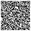 QR code with Process Sales contacts