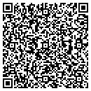 QR code with Ervins Group contacts