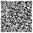 QR code with Pristine Flooring contacts