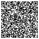 QR code with Pub Games Plus contacts