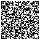 QR code with Carpet Illusions contacts