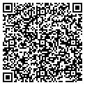 QR code with P & M contacts