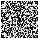 QR code with Cybergnostic.Net Inc contacts