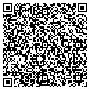 QR code with Carpet One Dominguez contacts