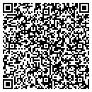 QR code with Punch Connection contacts