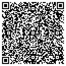 QR code with C V G Marketing Inc contacts