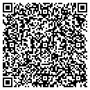 QR code with C V G Marketing Inc contacts