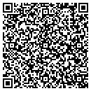 QR code with Carpet Salesman Inc contacts