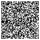 QR code with Public Remix contacts