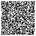 QR code with D Lake contacts