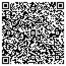 QR code with Chapin Grocery Store contacts