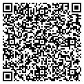 QR code with Medicc contacts