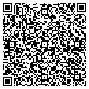 QR code with Project Dynamics Inc contacts