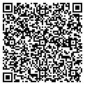 QR code with Vector contacts