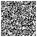QR code with Prt Consulting Inc contacts
