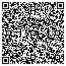 QR code with Chapman's Mulch CO contacts